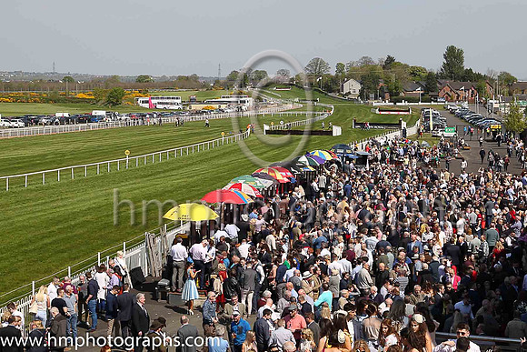 Large crowds at Down Royal on May Day 2017