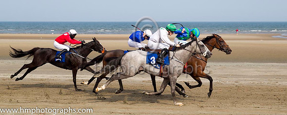 1 Our Max and S Foley - - 1st (3 ,white, emerald green large spots ) Trainer - Patrick Martin