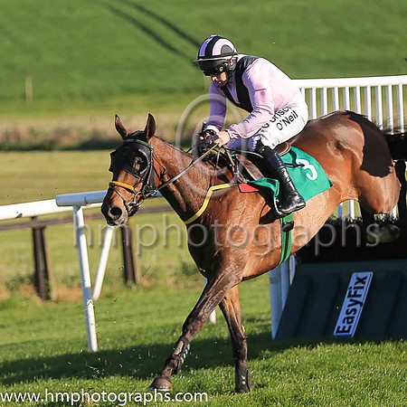 01st Fly Rory Fly and S W Flanagan ( 3 , pink, black chevron ) Trainer - N Meade , Owner - Eamon McElroy  Mrs Paul Shanahan  Mrs John Magnier