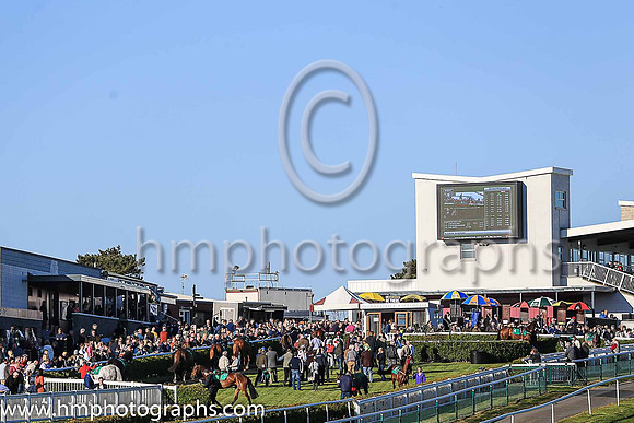 Parade Ring at Downpatrick