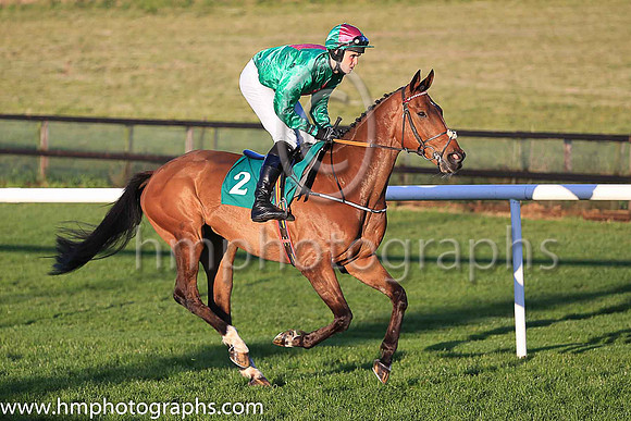 01st Cant Pay Wont Pay and Mr D Delahunt ( 2 , emerald green, pink diamond ) Trainer - Mark Fahey , Owner - G Delahunt