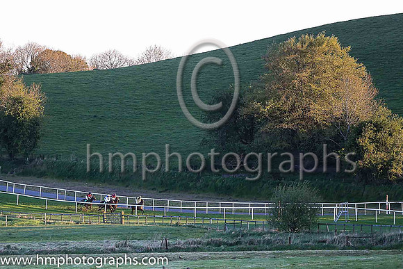01st Penny Jane and Mr J J Codd ( 6 , dark blue and yellow qtrd ) Trainer - G Elliott , Owner - Paul  Clare Rooney Partnership