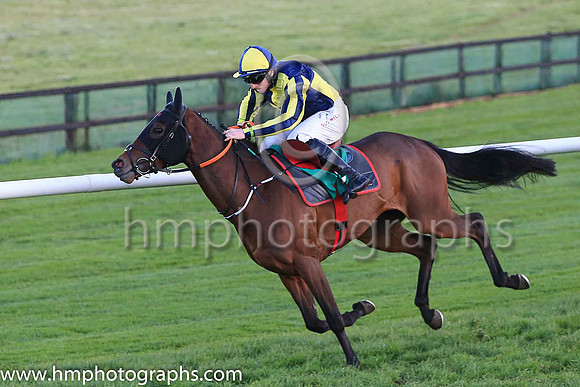 01st Penny Jane and Mr J J Codd ( 6 , dark blue and yellow qtrd ) Trainer - G Elliott , Owner - Paul  Clare Rooney Partnership