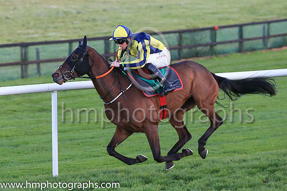01st Penny Jane and Mr J J Codd ( 6 , dark blue and yellow qtrd ) Trainer - G Elliott , Owner - Paul  Clare Rooney Partnership