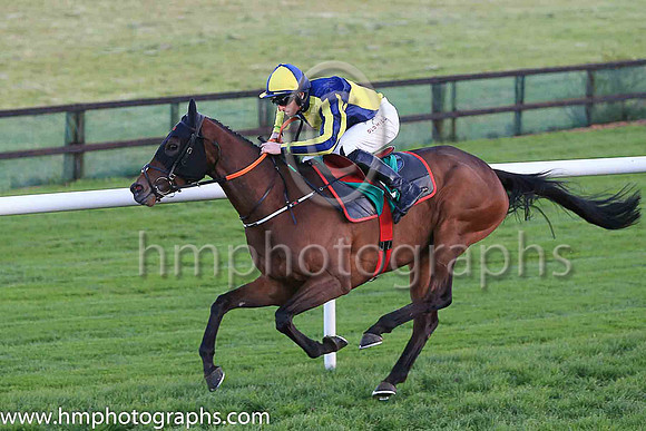 01st Penny Jane and Mr J J Codd ( 6 , dark blue and yellow qtrd ) Trainer - G Elliott , Owner - Paul  Clare Rooney Partnership