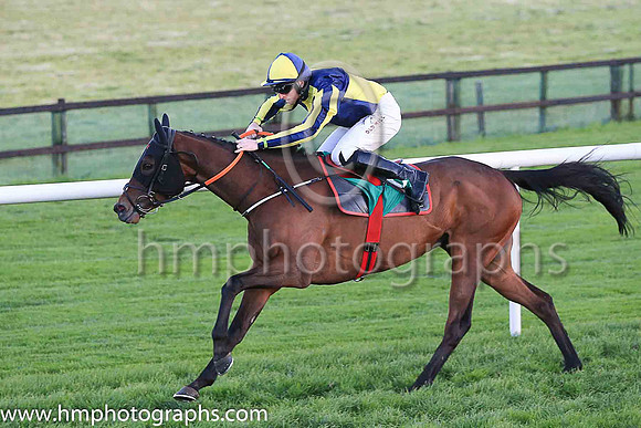 01st Penny Jane and Mr J J Codd ( 6 , dark blue and yellow qtrd ) Trainer - G Elliott , Owner - Paul  Clare Rooney Partnership