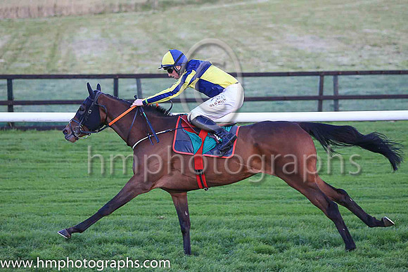 01st Penny Jane and Mr J J Codd ( 6 , dark blue and yellow qtrd ) Trainer - G Elliott , Owner - Paul  Clare Rooney Partnership