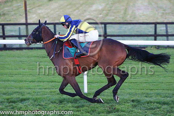 01st Penny Jane and Mr J J Codd ( 6 , dark blue and yellow qtrd ) Trainer - G Elliott , Owner - Paul  Clare Rooney Partnership