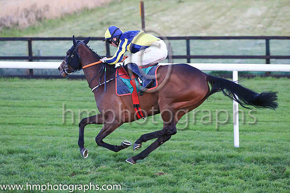 01st Penny Jane and Mr J J Codd ( 6 , dark blue and yellow qtrd ) Trainer - G Elliott , Owner - Paul  Clare Rooney Partnership