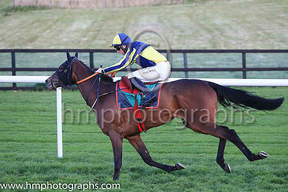 01st Penny Jane and Mr J J Codd ( 6 , dark blue and yellow qtrd ) Trainer - G Elliott , Owner - Paul  Clare Rooney Partnership