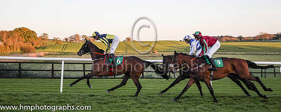 01st Penny Jane and Mr J J Codd ( 6 , dark blue and yellow qtrd ) Trainer - G Elliott , Owner - Paul  Clare Rooney Partnership