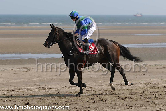 6 Above The law and S Corby - - 6th (3 ,royal blue, emerald green cross sashes ) Trainer - A Oliver