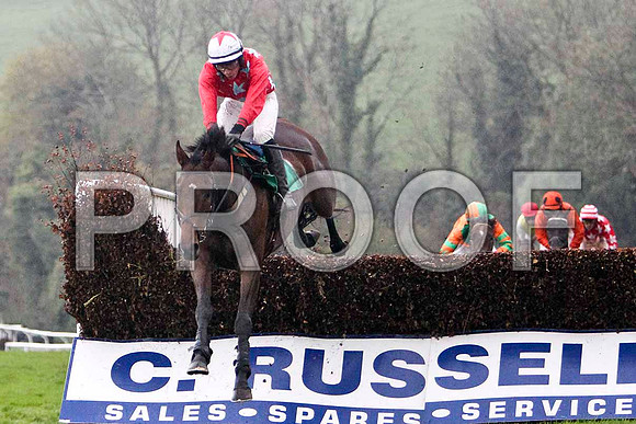 Paddy O Dee , Winner - Jockey D J Bates - FT8E5398-e