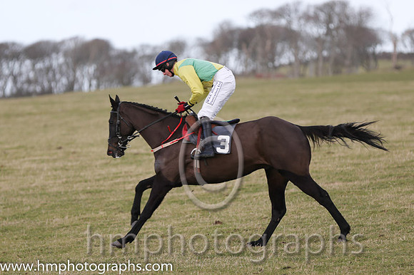 01 Mr Bolt  D H Lavery - Trainer : Sean McParlan, Black and tan check