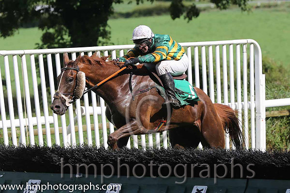 04 Point of Rescue & & D J Casey - 4th (5, green and yellow hooped) - AA1V0864