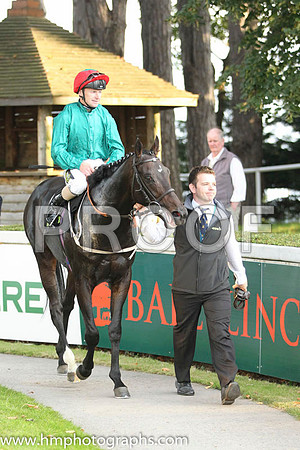 01 Bow Creek and J Fanning - - 01st (6 ,dark green, red cap ) Trainer - M Johnston