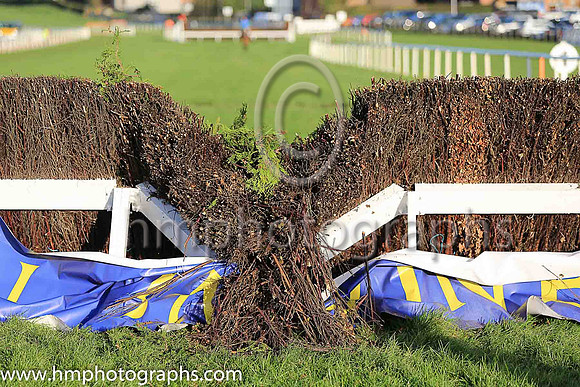 Broken Fence at Down Royal