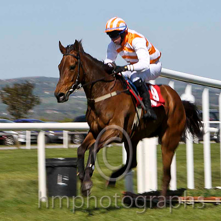 Strandfield Bay - 10th, Jockey P D Kennedy -  FT8E2175-e