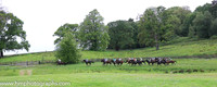 Point to Point Racing at Necarne