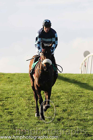 02 Royal Captain & D N Russell - 2nd (5, dark blue, light blue hoop) - FT8E1135-18