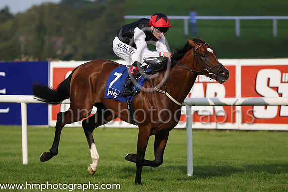 01 Free Eagle and P J Smullen - - 01st (7 ,black, white sleeves, red cap black star ) Trainer - D K Weld