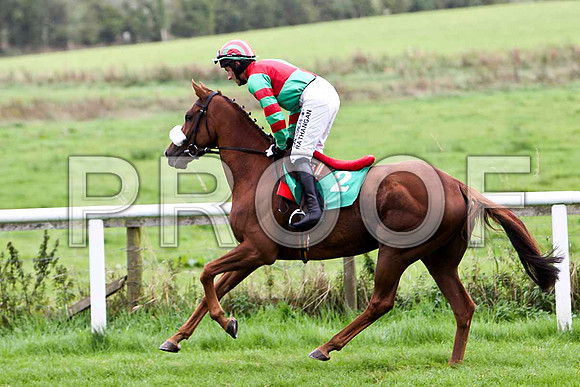 Claragh Native , Jockey P W Flood - 8th- CU2D2330-e