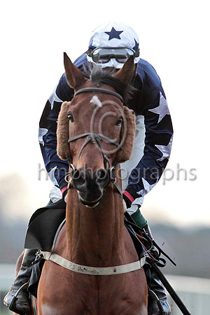 Mark Me Up & D J Bates - Winner - CU2D0191-e