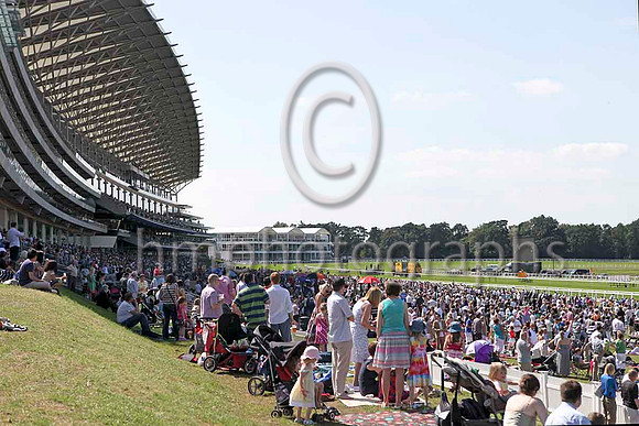 R3 - Nassau Storm & Jim Crowley - Winner (4, dark blue & yellow stripes) - IMG_9930-e2