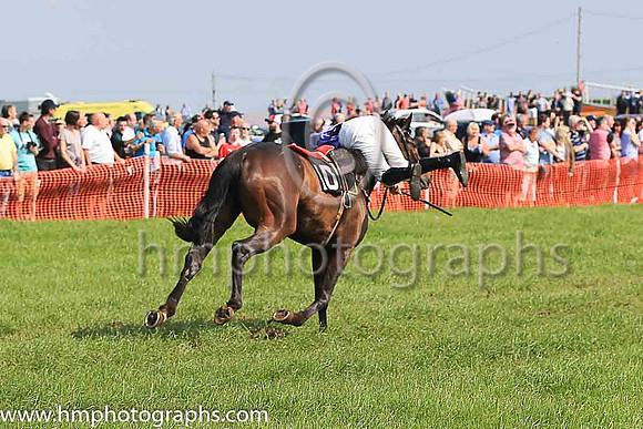 TULLYORIOR and R A Devine ( 10 , PURPLE; white sleeves; red cap,white star ) Trainer: Catherine Barry , Owner : Catherine Barry