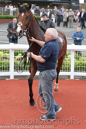 01 Primo Uomo & P J Smullen - winner (5, emerald green, grey braces ) - CU2D2679-13