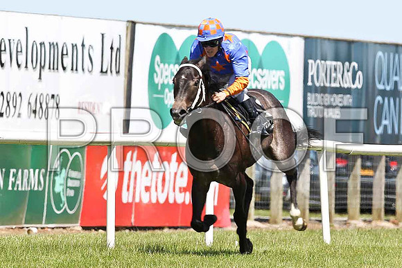 Mr Man in the Moon , Jockey P B Beggy - Winner - FT8E1216-e