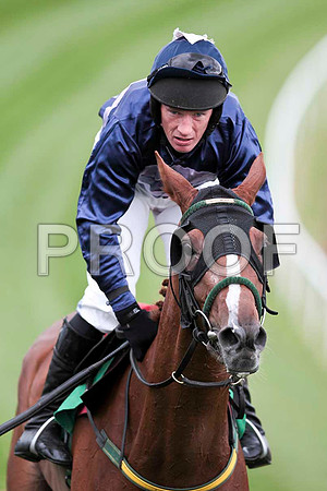 Sally May - 7th , Jockey P Carberry - CU2D9507-e