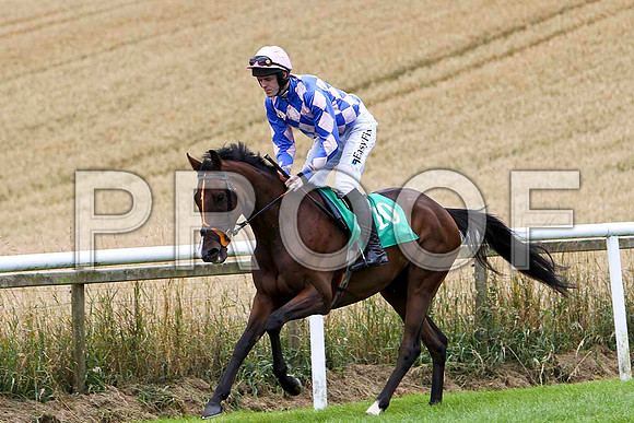 Sun Fisher - 3rd , Jockey Andrew J McNamara  - FT8E3828-e