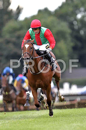 Striking Force 1st , Jockey K H Clarke - FT8E3765-e3