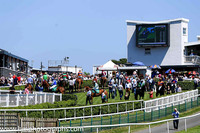 The parade ring at Downpatrick