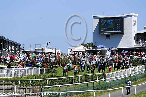 The parade ring at Downpatrick