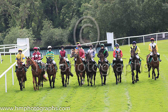 Horses line up for the start of Race 3 at Downpatrick - The Eire OG GAC Fundraiser Maiden Hurdle of 11,000 Euro