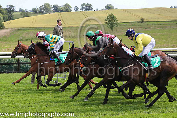 The start of Race 3 at Downpatrick - The Eire OG GAC Fundraiser Maiden Hurdle of 11,000 Euro