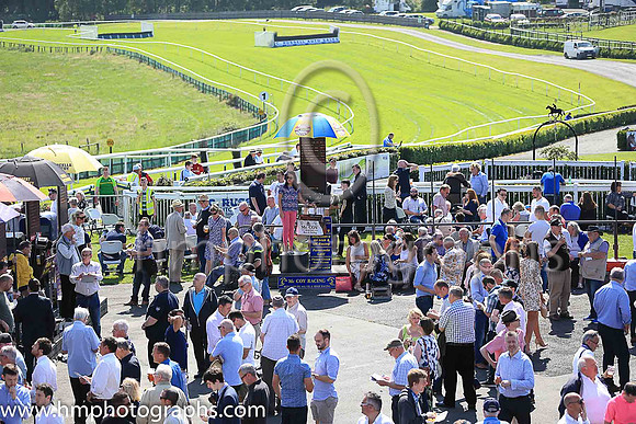 Downpatrick Racecourse