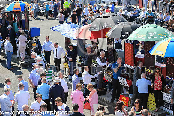 Downpatrick Race course