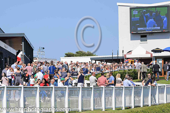 Large Crowds at Downpatrick Racecourse
