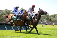 01st Atlantic Breaker Paddy Kennedy (2, royal blue, white star) Trainer Mark McNiff, Owner Sean F Conway - horse in middle