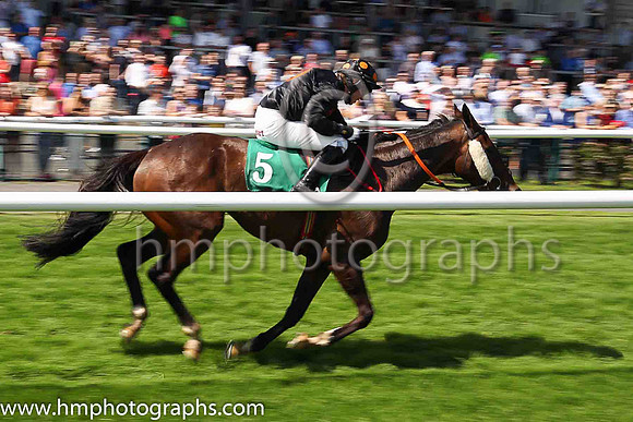 01st The King of Brega and Dylan Robinson (5, black,orange disc) Trainer Henry de Bromhead, Owner BMW Partnership