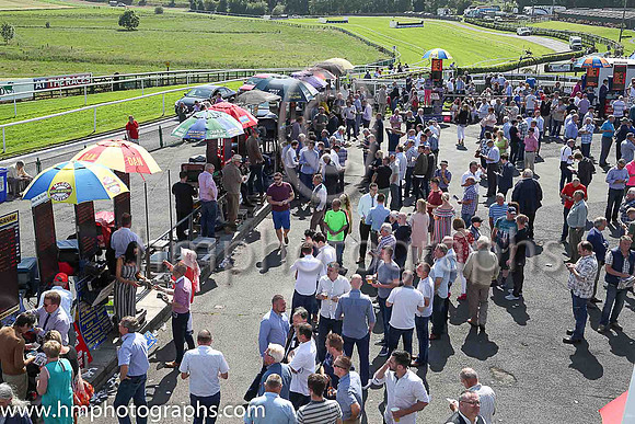 Downpatrick Racecourse