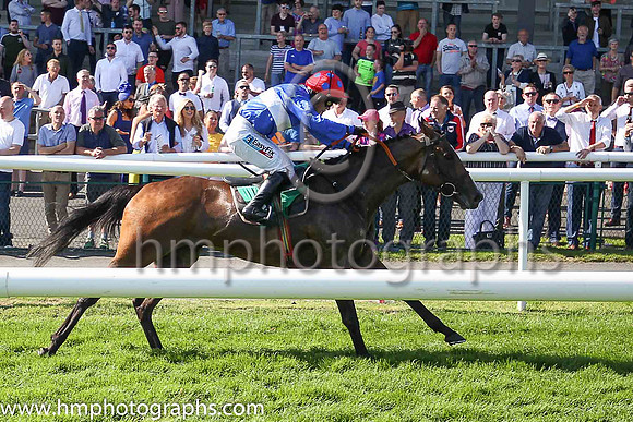 01st Decision Time and Ms K Walsh (3, royal blue, whte hoop, red cap) trainer J E Kiely, Owner Liam Gleeson