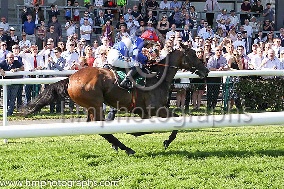 01st Decision Time and Ms K Walsh (3, royal blue, whte hoop, red cap) trainer J E Kiely, Owner Liam Gleeson