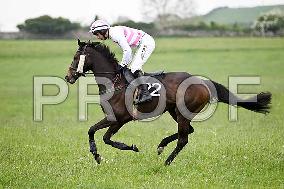 On the Arthur , 5th, Jockey - Derek O'Connor FT8E2397-e
