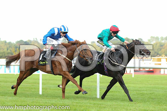02 Mustajeeb and P J Smullen - - 02nd (8 ,royal blue, white epaulettes ) Trainer -   01 Bow Creek and J Fanning - - 01st (6 ,dark green, red cap ) Trainer - M Johnston