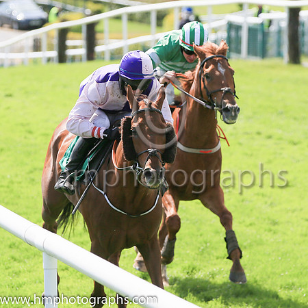 05th Very Excellent (3 ,pink and purple qtrd ) Jockey: P J O'Hanlon(2) ,Trainer: Andrew McNamara
