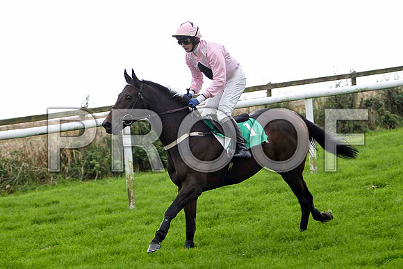 King of Aran , winner - Jockey - P Townend - FT8E5138-e